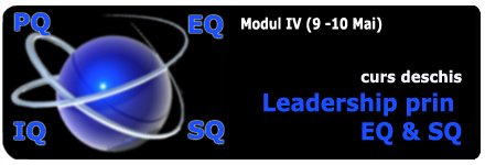 Modului IV - Leaderul EQ & SQ