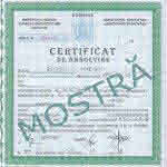 certificat-absolvire-293x300