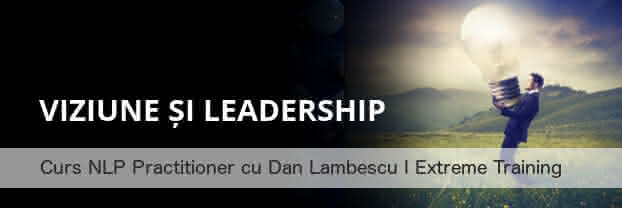viziune si leadership - curs nlp practitioner cu dan lambescu