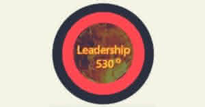 Video leadership 530