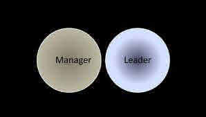 leader, manager, leadership, management