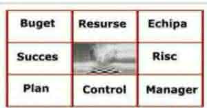 curs managementul proiectelor