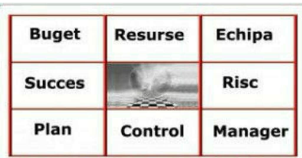 curs managementul proiectelor