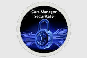 curs manager securitate