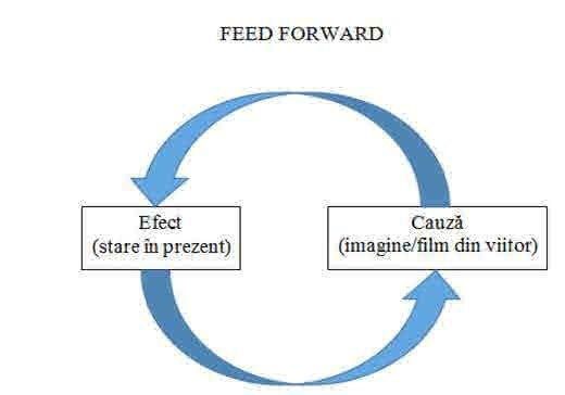 feed forward