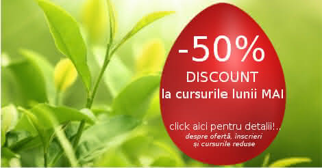 oferta cursuri paste