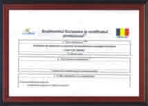 certificat europass curs inspector resurse umane