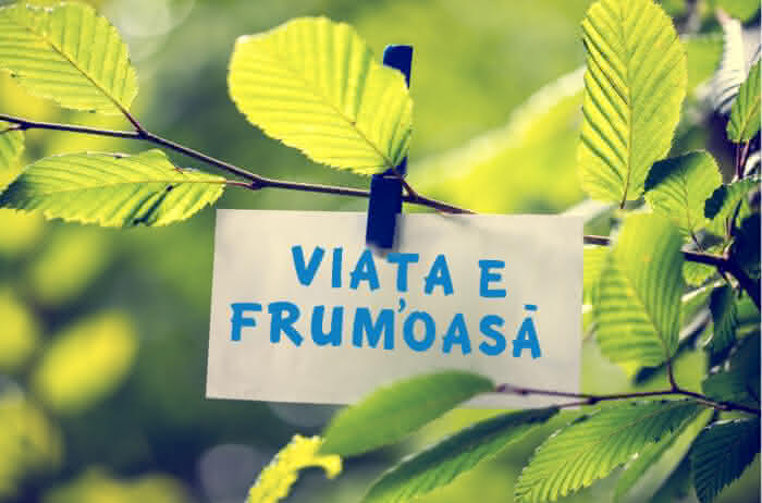 curs mindfulness viata e frumoasa