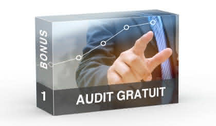 bonus 1- curs lean management- un audit -