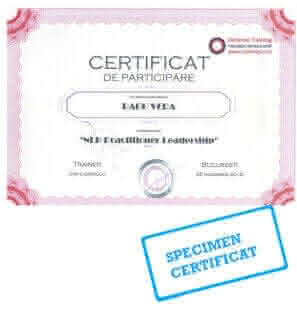 certificare internationala nlp