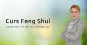 curs feng shui