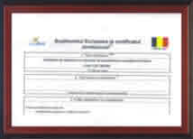 certificat europass curs consilier dezvoltare personala