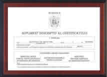 supliment diploma curs consilier dezvoltare personala