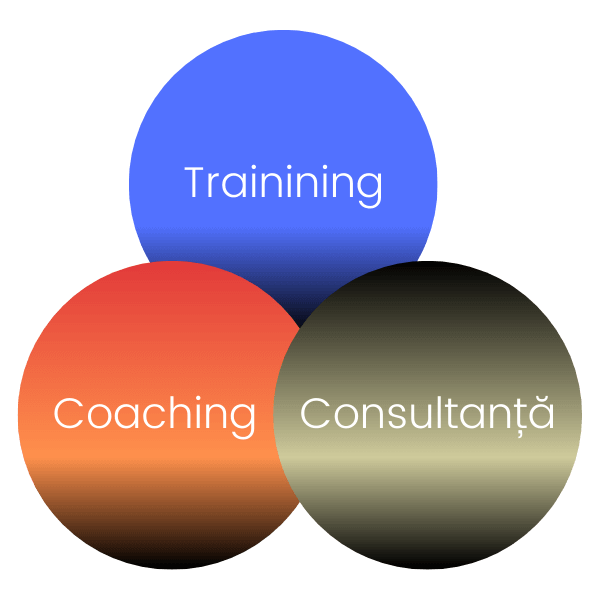 training coaching coansultanta